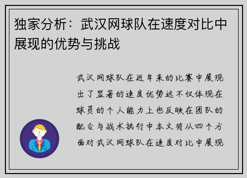 独家分析：武汉网球队在速度对比中展现的优势与挑战