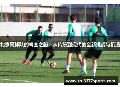 北京网球队的蜕变之路：从传统到现代的全新挑战与机遇